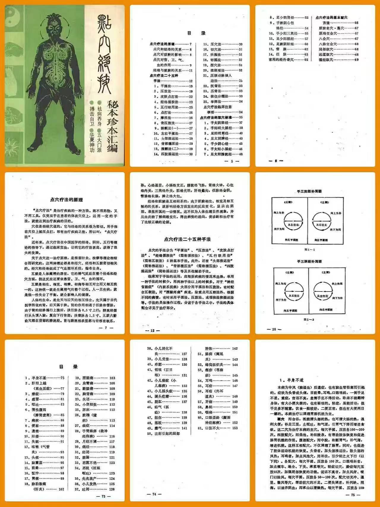 点穴绝技 秘本珍本汇编 王俊雄 752页
