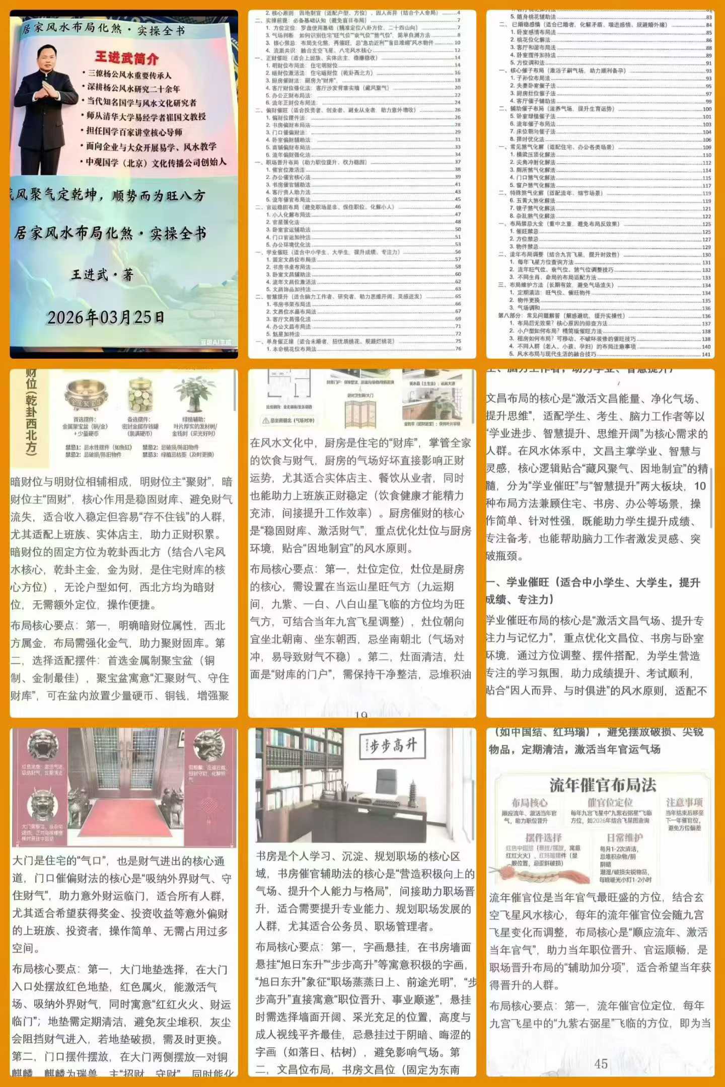 王进武《居家环学境布局化与解》预测+布局+化解+催旺+催财+催官