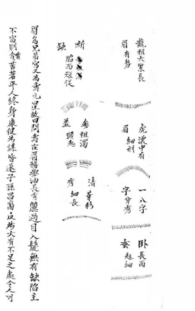 相术古籍《老君骑牛秘诀》 页数: 53页