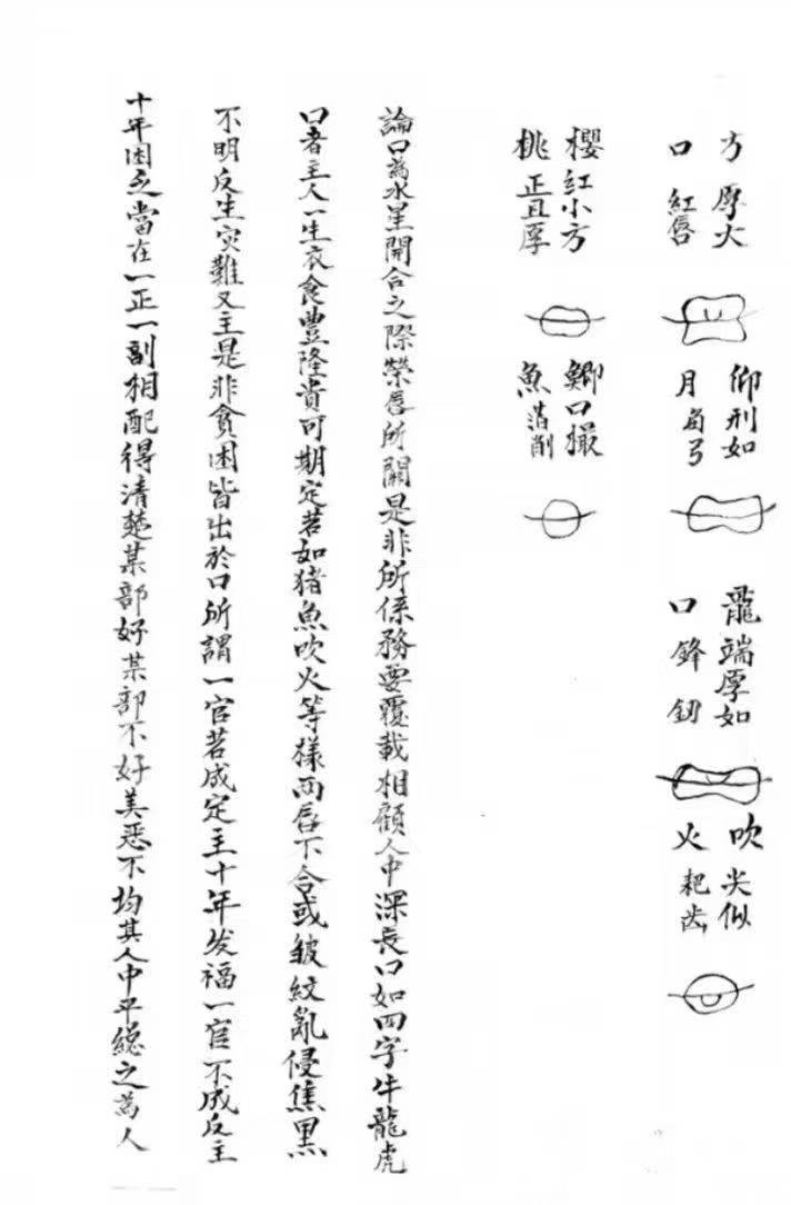 相术古籍《老君骑牛秘诀》 页数: 53页