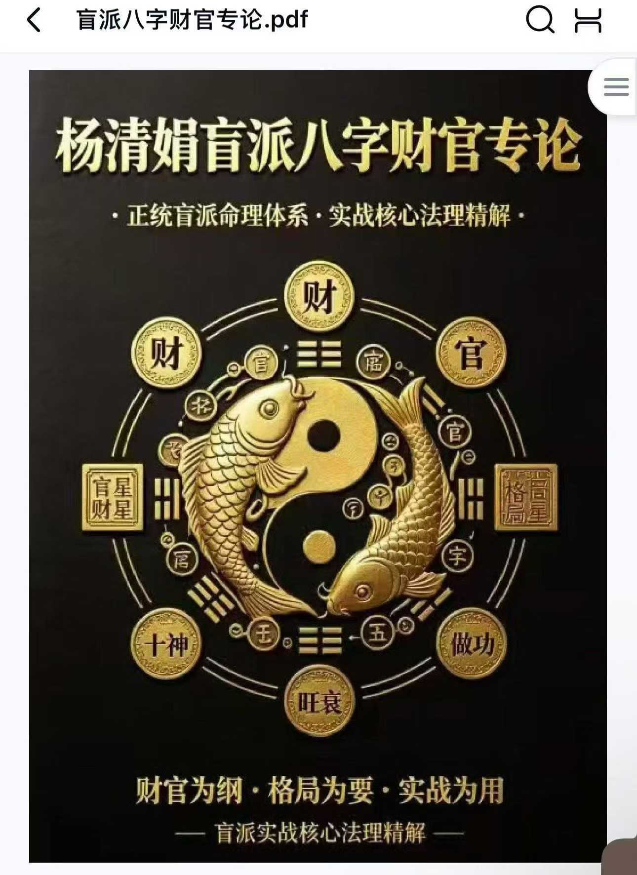 杨清娟 盲派八字财官专论356页