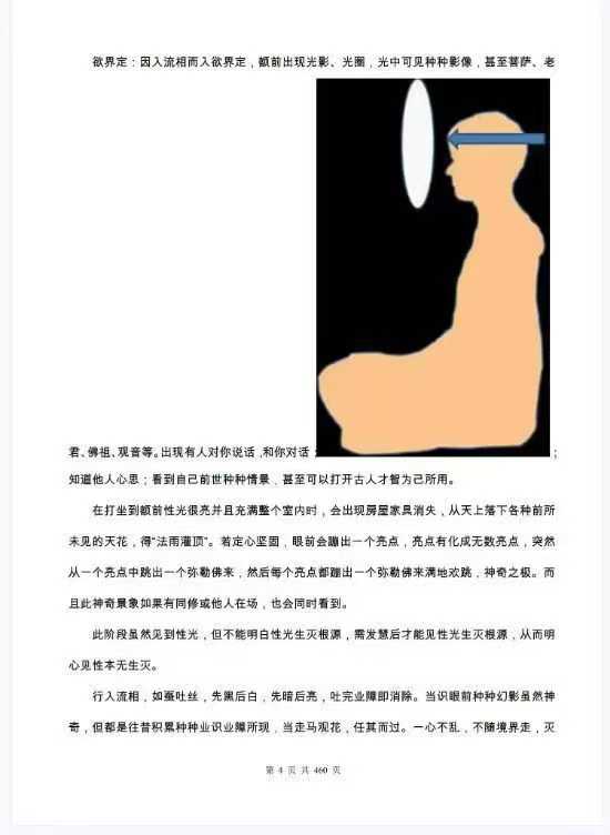 插图2–一尘丹道燃灯法脉（460页–趣资源