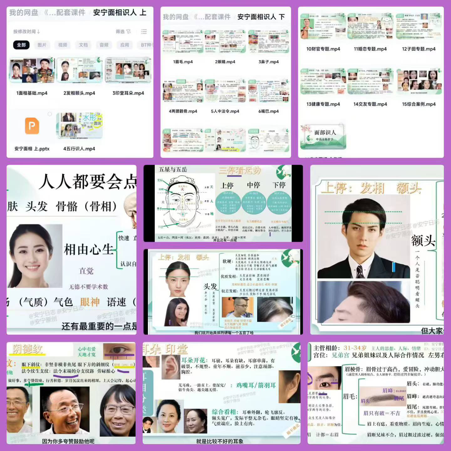 安宁日志《面相美学》中高级全集教学 19集视频+配套课件