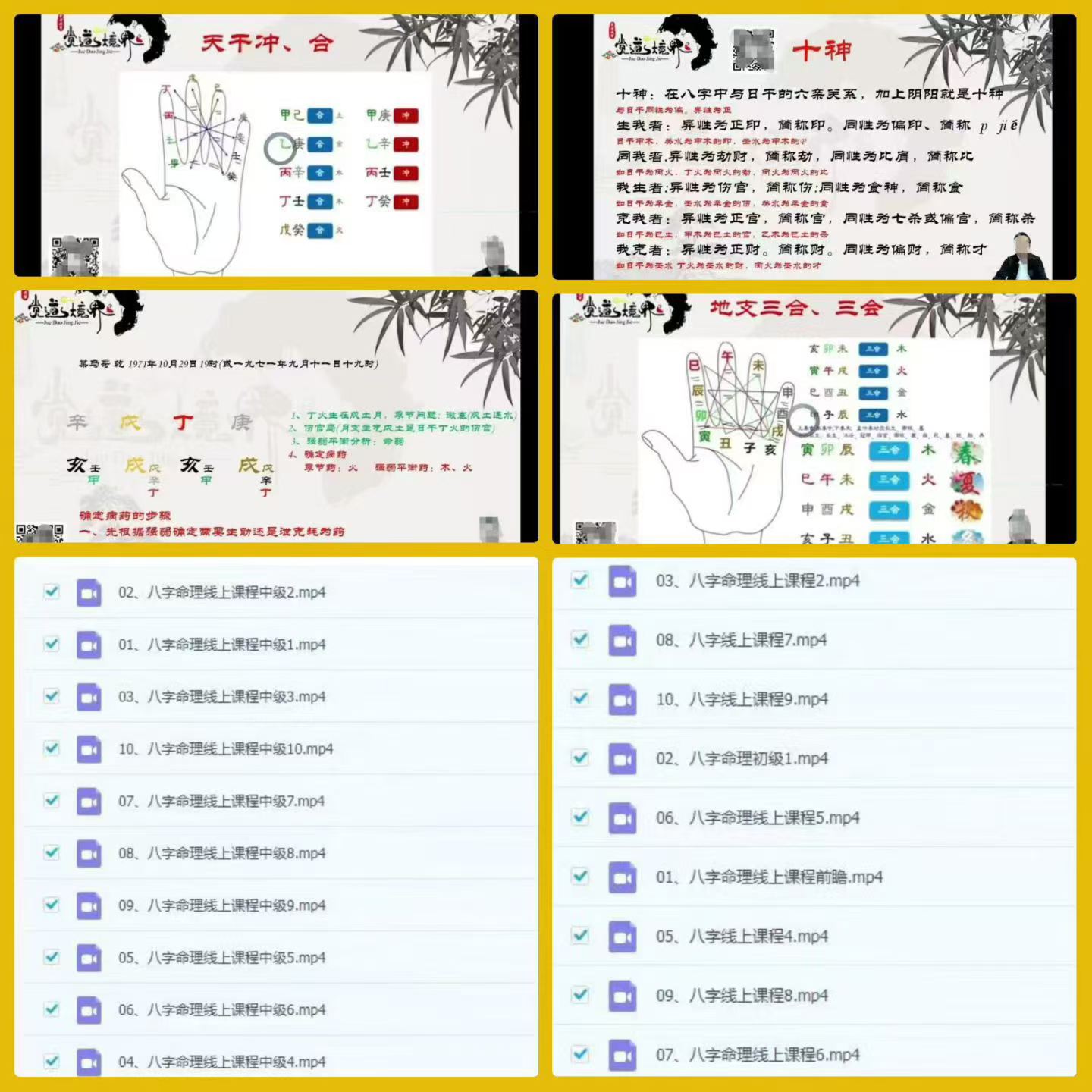 道阳宗钺《四柱八字命理中级课程》10集