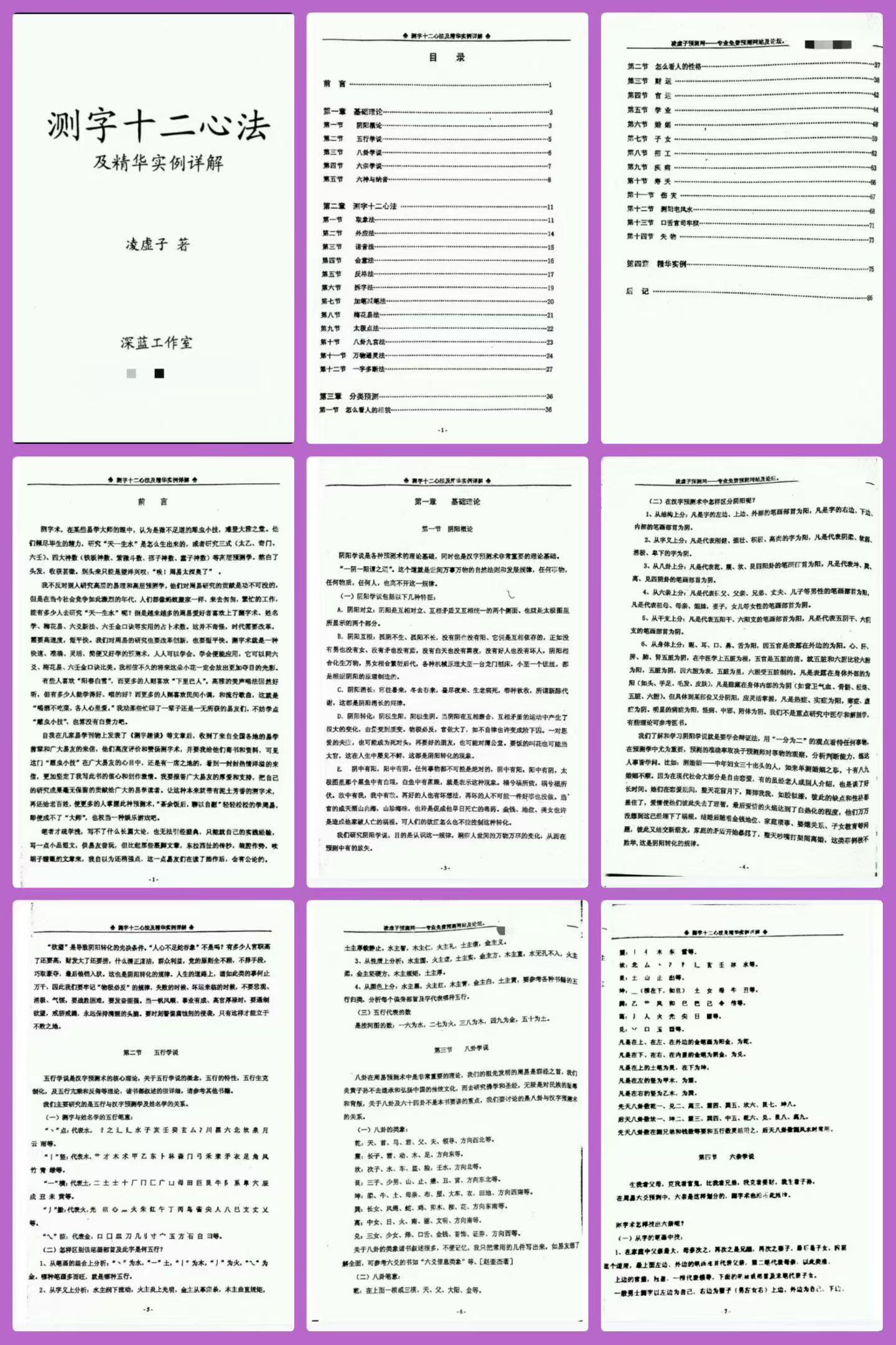 《测字十二心法(凌虚子)》.pdf 91页