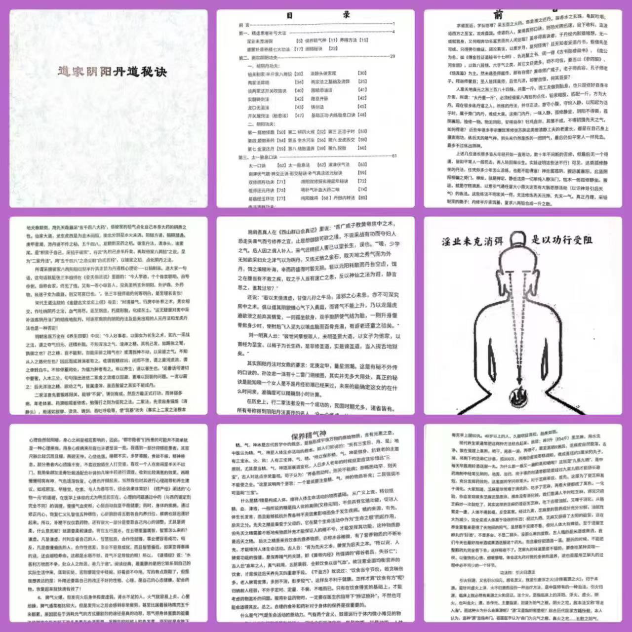 插图1–陆道如道家阴阳丹道秘诀112页–趣资源